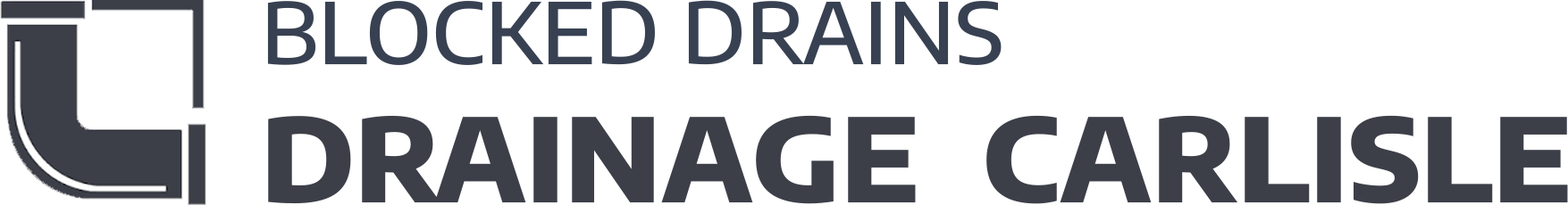 website logo